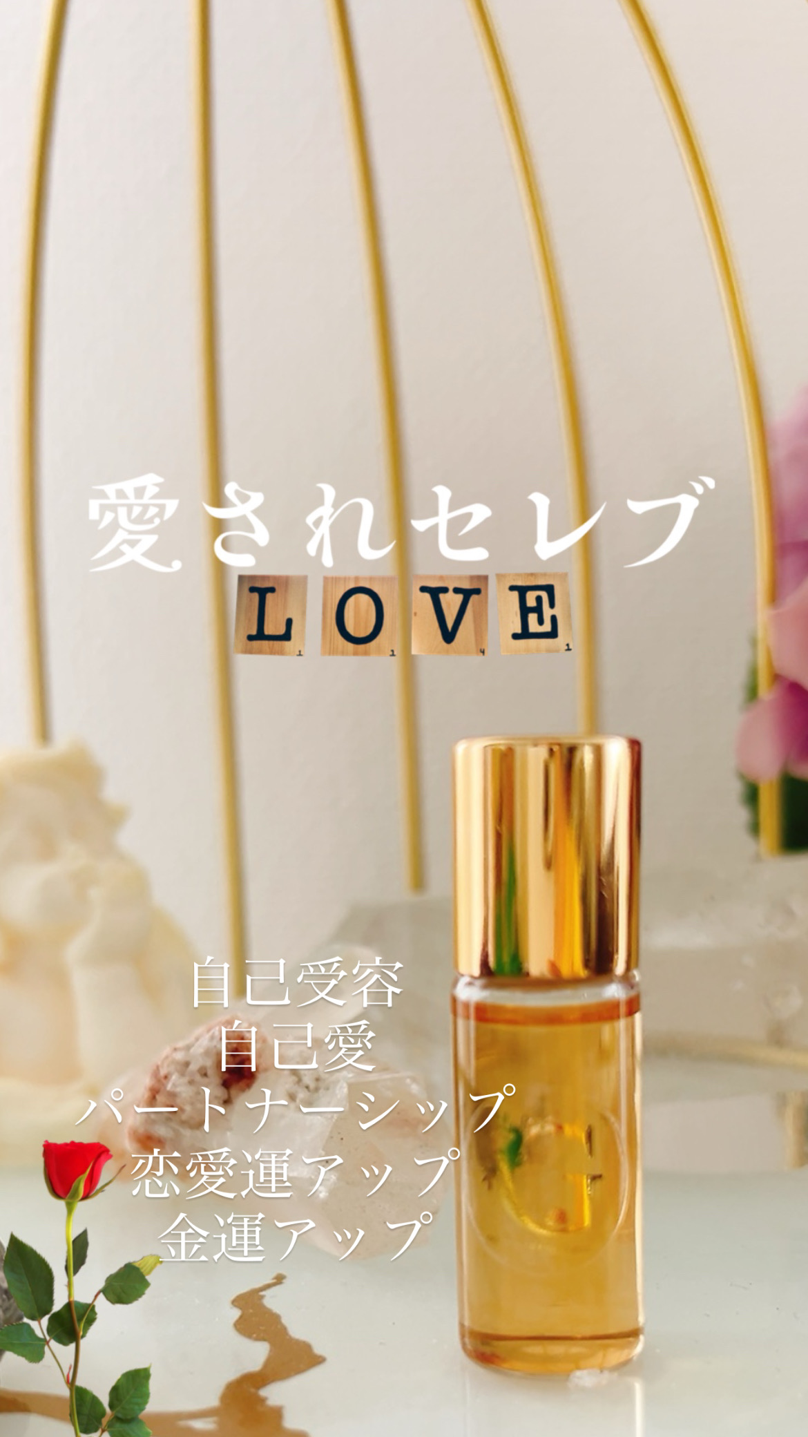 愛されセレブ
